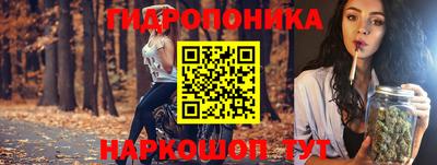 стаф Рыбинск